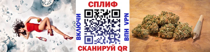 Бошки Шишки ГИДРОПОН  как найти наркотики  Конаково 